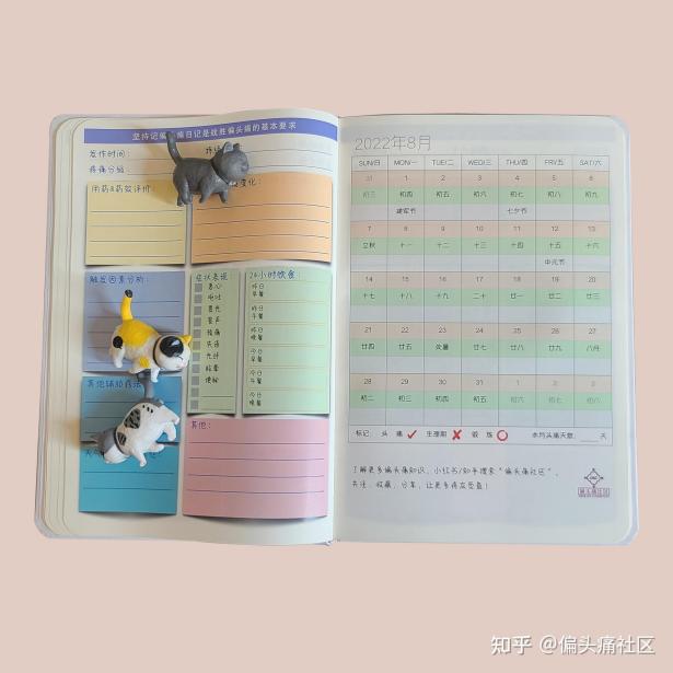點擊查看圖片來源