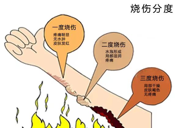 圖片 5.png