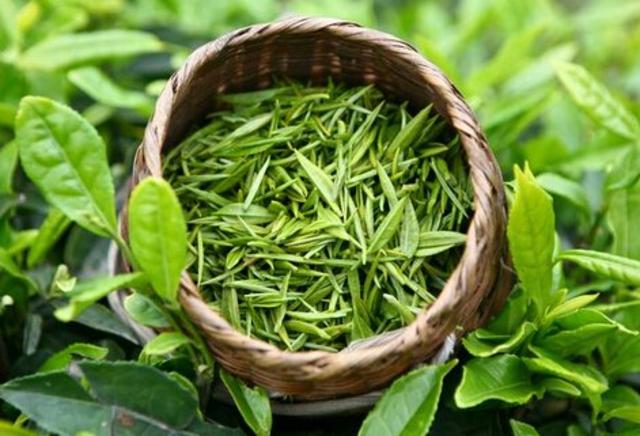點(diǎn)擊查看圖片來(lái)源