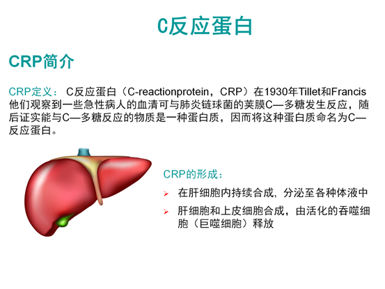c反應蛋白的臨床意義 (1)_03