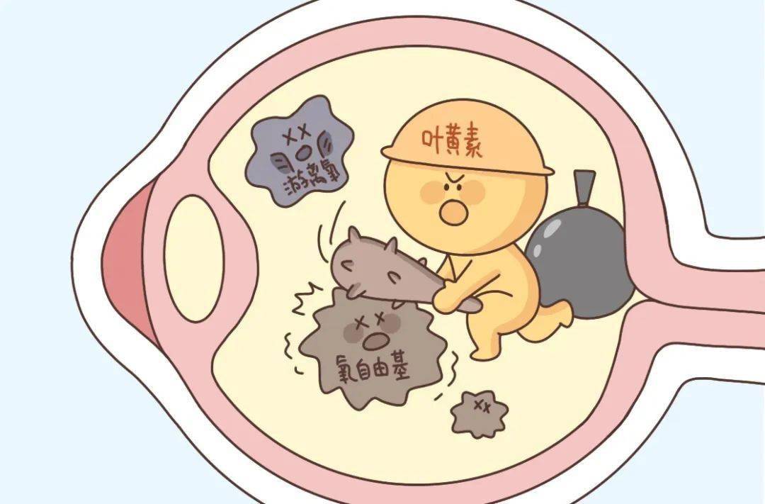 點(diǎn)擊查看圖片來(lái)源