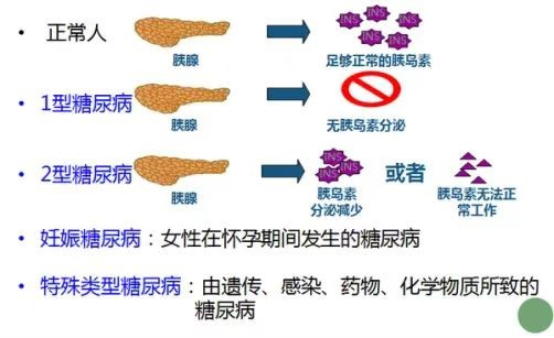 圖片2.jpg