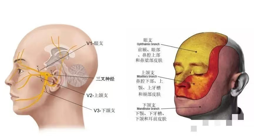 圖片4.png