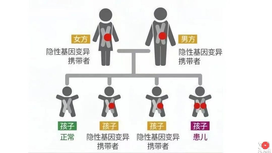 圖片6.png