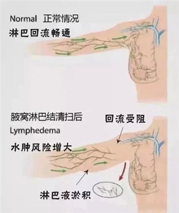 點(diǎn)擊查看圖片來源