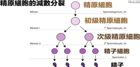 圖片3.png