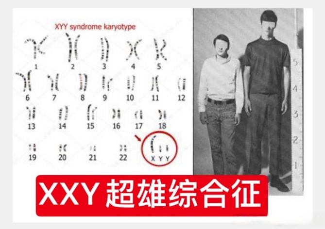 圖片2.jpg