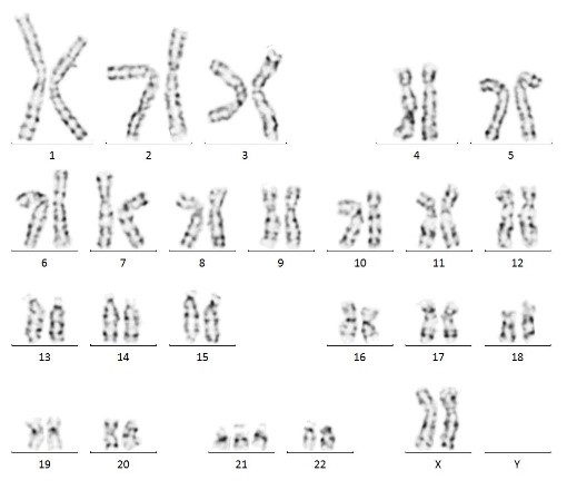 圖片6.jpg